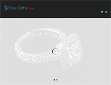 Tablet Screenshot of blueseine.com